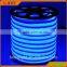White PVC Base Crystal Blue color 80 Led Neon Flexible tube With 4.8W/M Power