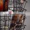 CD display rack