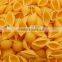 Single screw stainless steel noodle pasta machine