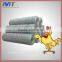 2016 Hexagonal Chcken Mesh for animals