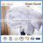 80% White Goose Down Duvet Warm quilt Soft quilt Light quilt