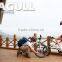 Seagull,cheap retro electric bike