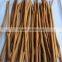 Broken Cassia/ Cinnamon good quality
