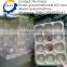 Full automatic 4 mold 2000-3000 pcs/h fruit tray forming machine