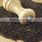 Wholesale price of black pepper 550gl/ 500gl (Mr.Duc Whatsapp +84948082991)
