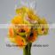 On Sale Fresh Gerbera Fresh Cut Flowers Yellow Gerbera To Friends - Champagne