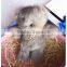 Wholesale handmade mink fur gift cute rabbit keyrings bag charming