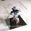10inch clear acrylic large toy display case