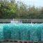 Decorative Colorful Glass Rocks for Landsaping