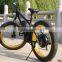 48V 750W fat tire electric bike /import electric bikes from china