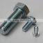 AISI316/A4-80 stainless steel cold forged bolts