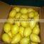 yellow lemon