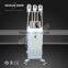 Lipo Fat Lipolysis Cryo Freeze Therapy Machine