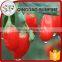 The nice goji berry price with high quality