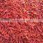 Vietnam Dried Red hot Chilli