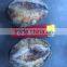 Best Price IQF Frozen Cooked Abalone