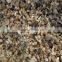 fresh straw mushroom fresh straw mushroom canned straw mushroom