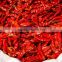 Dried Indian Red Chilli Exporters