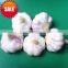 Spice Vegetable of Chinese Garlic Grade A for Export