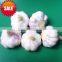 Online Hot Sale of Jinxiang Garlic in Bulk