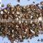 Zonolite / Expanded Vermiculite for concrete, insulation