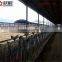 43"IN Cow /cattle house hanging fan for ventilation