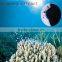 seaweed flake fertilizer/seaweed powder fertilizer/seaweed extract