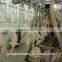 Stainless steel poultry hair cut machine for sale