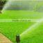 Irrigation system for lawn