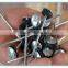 cheap price BWG12X2" umbrella head roofing nails with plain shank and washer
