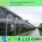 multi span vegetable film greenhouse for sale