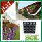 Types of Ornamental Plants Hydroponics Equipment Flowerpot