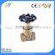 China cast steel gate valve with brass body