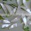 natural semi round shape whtie pearl shell charms diy white pearl shell sticker pendant wholesale jewelry accessories