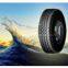 Radial TBR Tyre