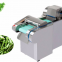 Small Vegetable Cutting Machine Leeks, Strip Ce Approved