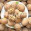 Vietnam Walnuts/High Quality Dried Walnuts For Wholesales From Vietnam