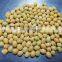 Chinese Ginko Nut IQF Frozen Ginkgo Nut