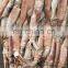 whole round frozen todarodes pacificus squid japanese flying squid