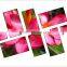 42"X6 Video Display Wall Mount Led Display Screen Indoor Digital Advertising Screens For Sale Plasma Video Wall