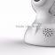 Home /Business Security Equipment alarm IP cameras (IPC306AX)