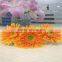 Cute Fresh Cut Gerbera Flower Preserved With Various Color