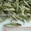 Dried Anchovy Fish Vietnam premium quality