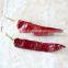 Hot sale good quality dry long American red chilli