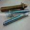Horse Galvanized Chemical Capsule Anchor Bolt and Nut M10