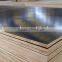 Veneer Boards Plywood Type and shuttering plywood for sale