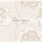 Eagel brand 30X60 CM latest design wall tiles