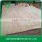 Ash Veneer Plywood