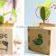 Birthday Gift Ideas Magic Logo Bean Plant, Custom Message Bean Plant