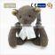 I-Green Toy Series-Fashional Style toy lovely environmentally friendly toy bear